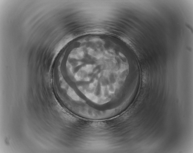 X0000102811466200809021148