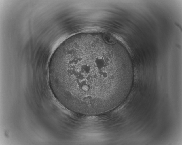 X0000102811467200809021148