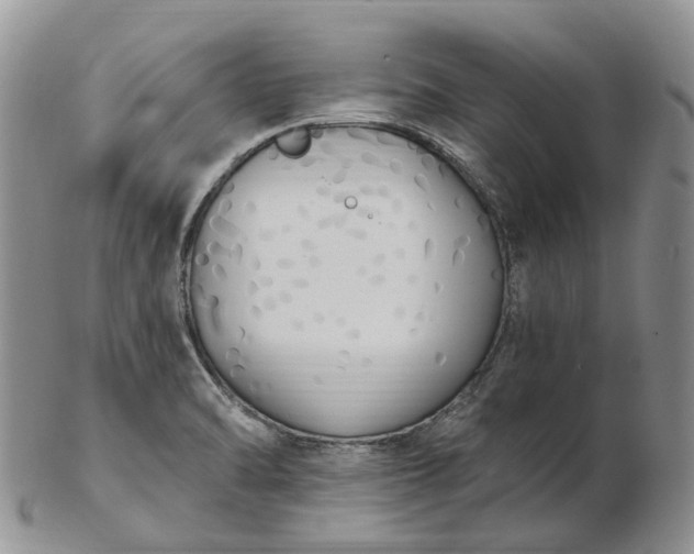 X0000102811470200809021148