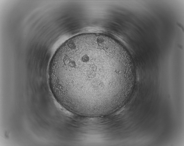 X0000102811471200809021148