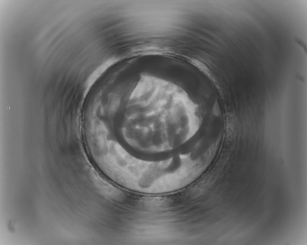 X0000102811474200809021148