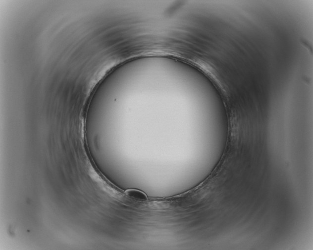 X0000102811476200809021148