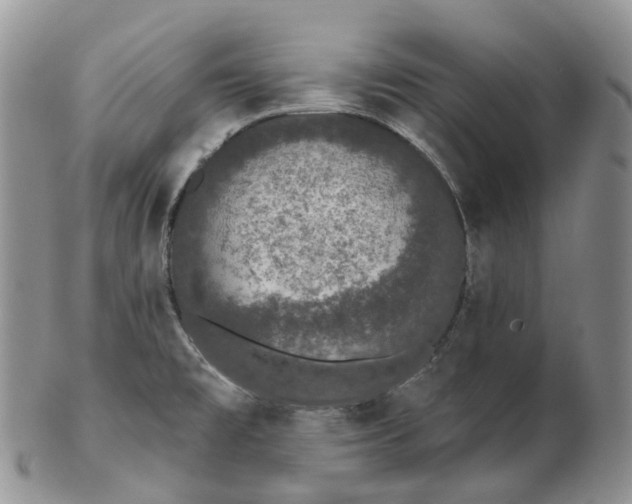 X0000102811477200809021148