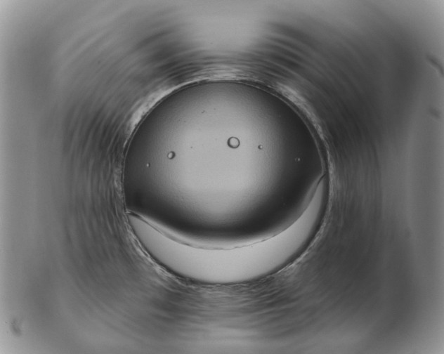 X0000102811481200809021148