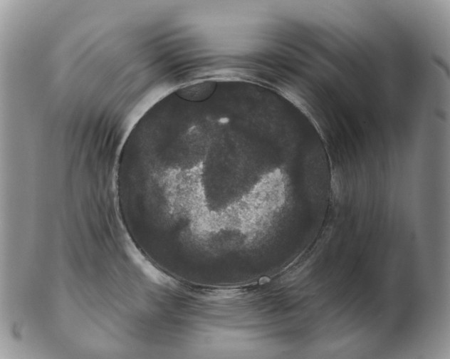 X0000102811482200809021148