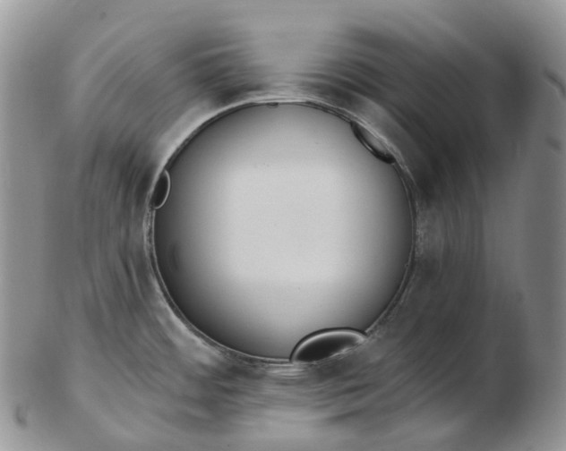 X0000102811484200809021148