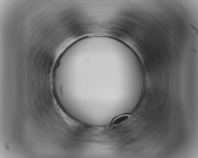 X0000102811485200809021148