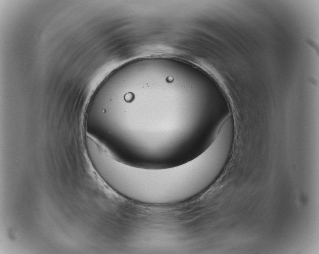 X0000102811488200809021147