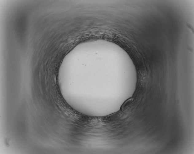 X0000102811489200809021147