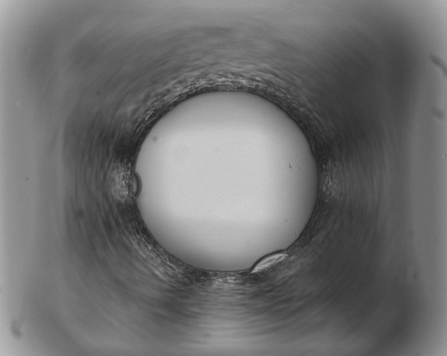 X0000102811490200809021147