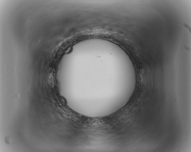 X0000102811493200809021147