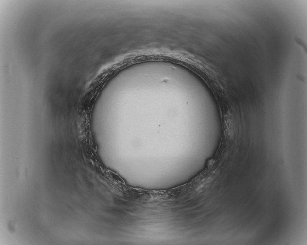 X0000102811494200809021147