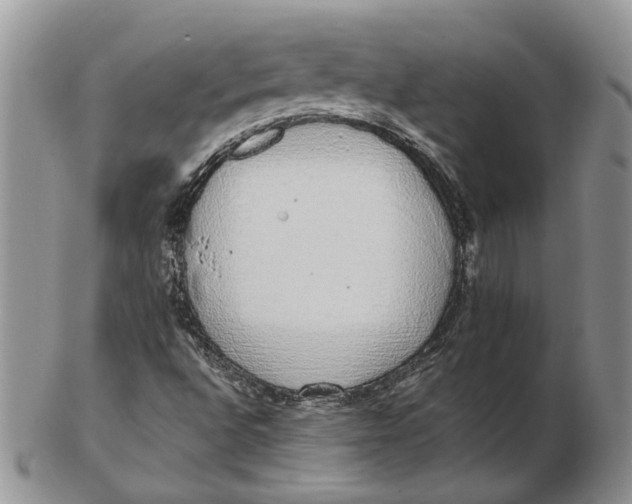 X0000102811496200809021147