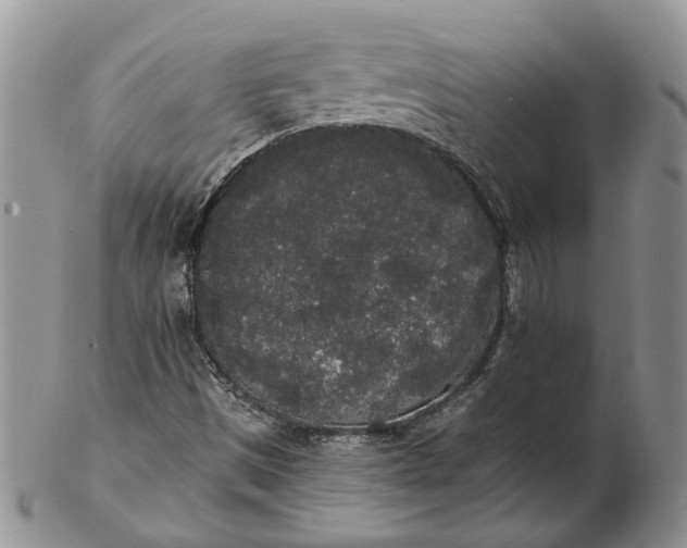 X0000102811497200809021147