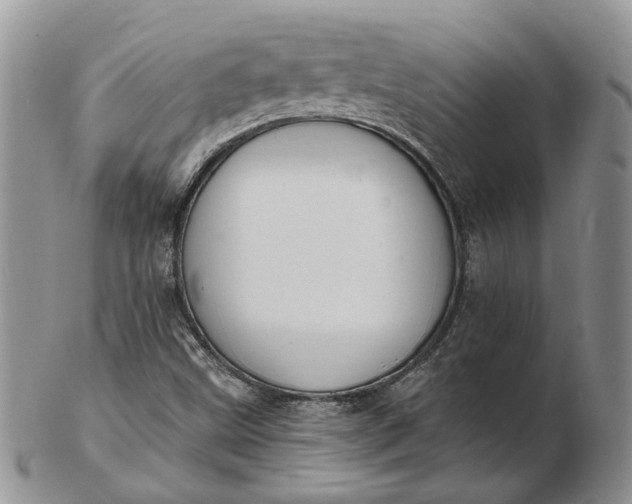 X0000102811499200809021147