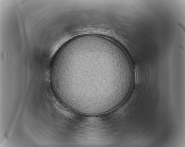 X0000102811501200809021147