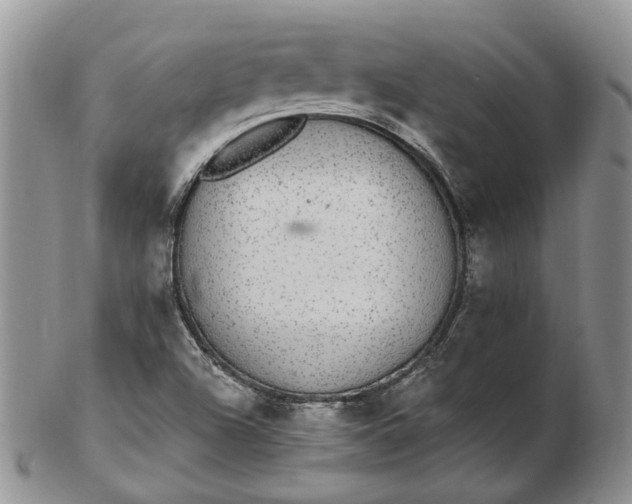 X0000102811504200809021147