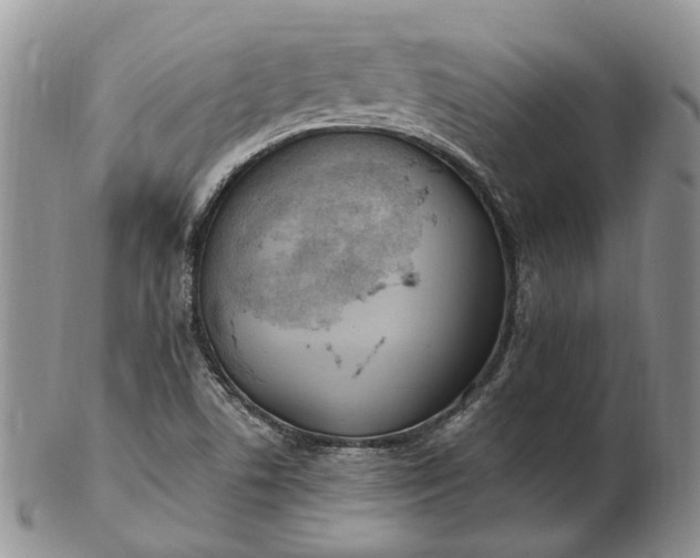 X0000102811506200809021147