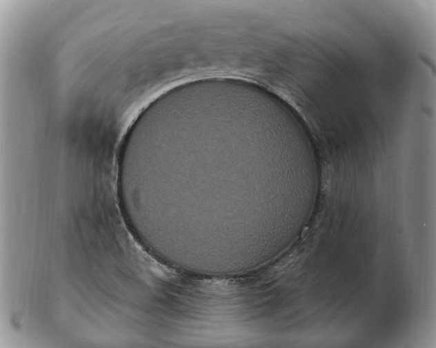 X0000102811508200809021147