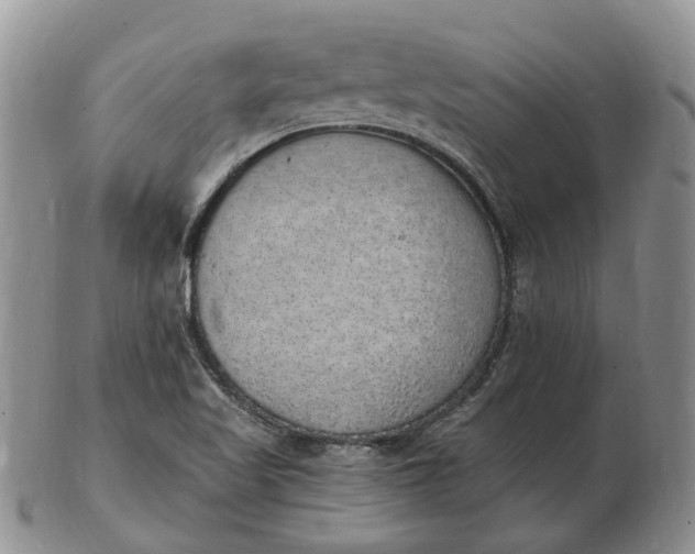 X0000102811509200809021147