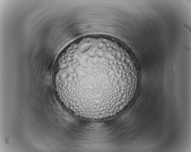 X0000102811513200809021147