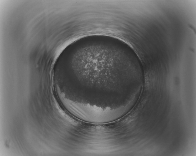 X0000102811515200809021147