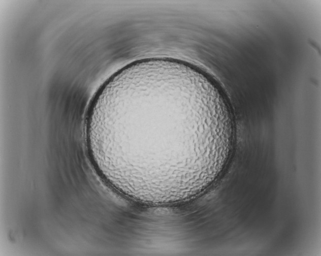 X0000102811517200809021147