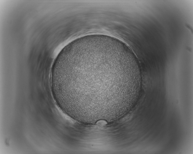 X0000102811519200809021147