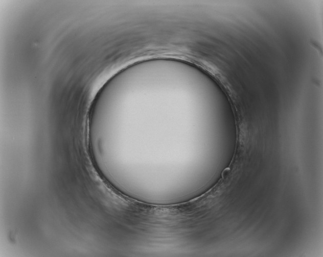 X0000102811520200809021147