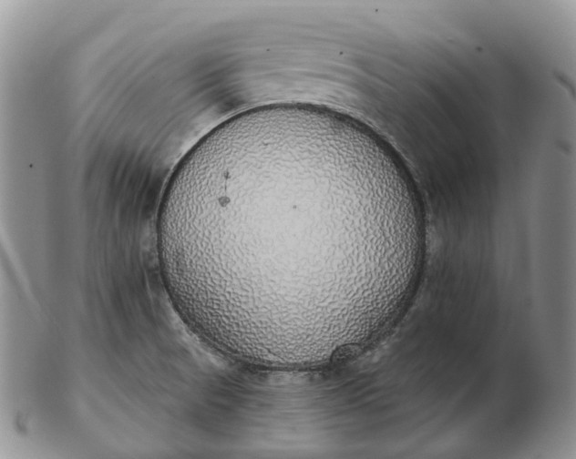 X0000102811521200809021147