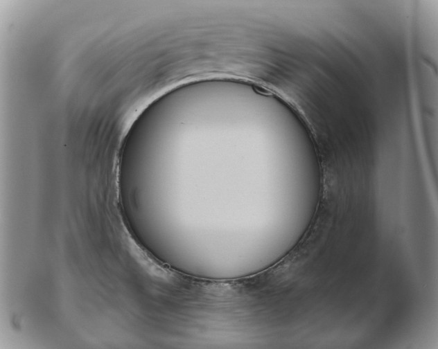 X0000102811524200809021147