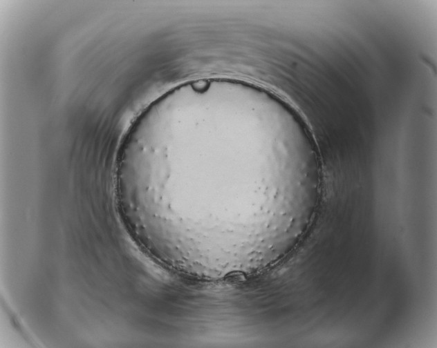 X0000102811525200809021147