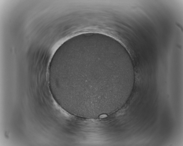 X0000102811527200809021147