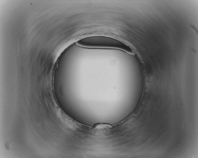 X0000102811530200809021147