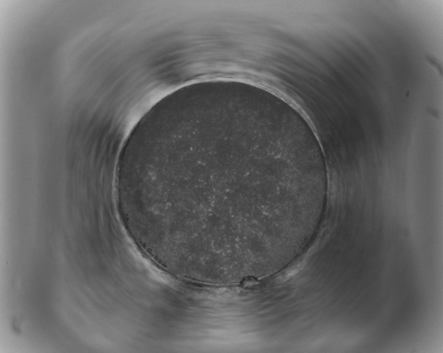 X0000102811533200809021147