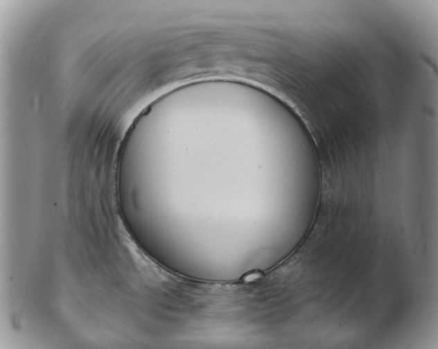 X0000102811534200809021147