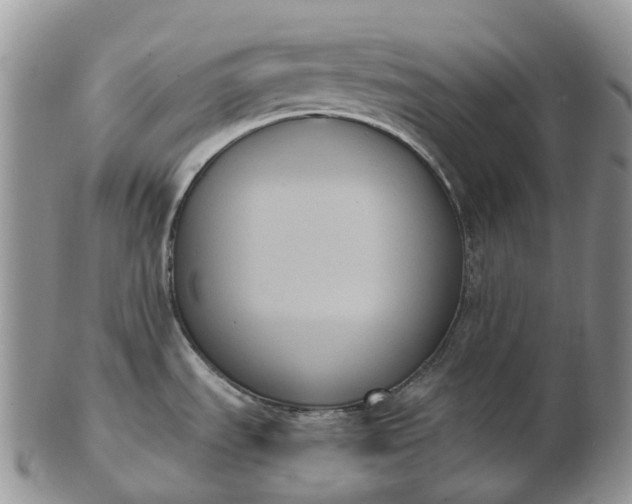 X0000102811535200809021147