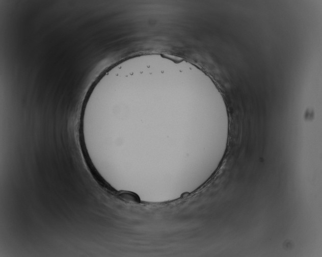 X0000102810003200809081119