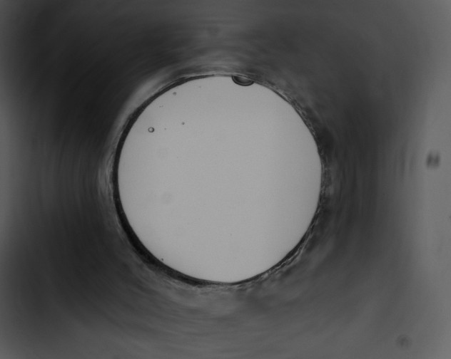 X0000102810004200809081119