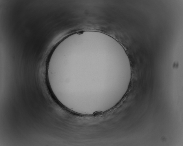 X0000102810005200809081119