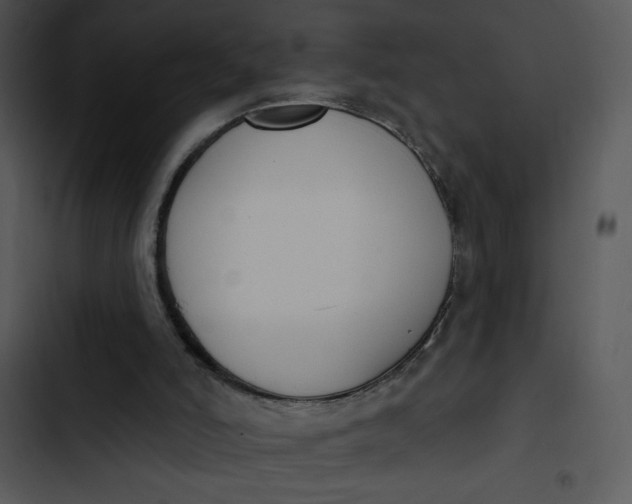 X0000102810006200809081119