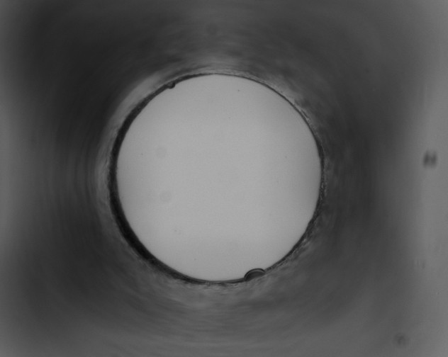 X0000102810007200809081119