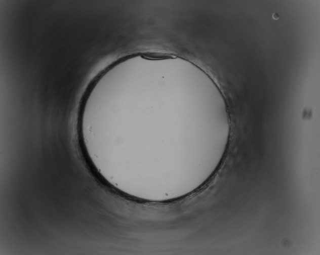 X0000102810008200809081119