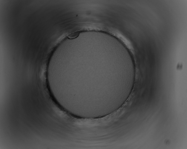 X0000102810009200809081119