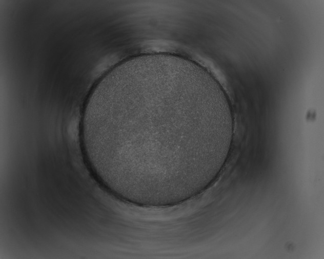 X0000102810010200809081119