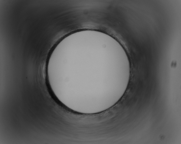 X0000102810011200809081119