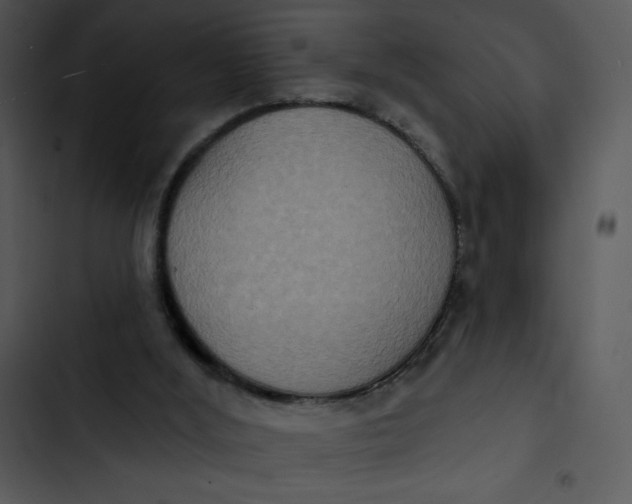 X0000102810012200809081119