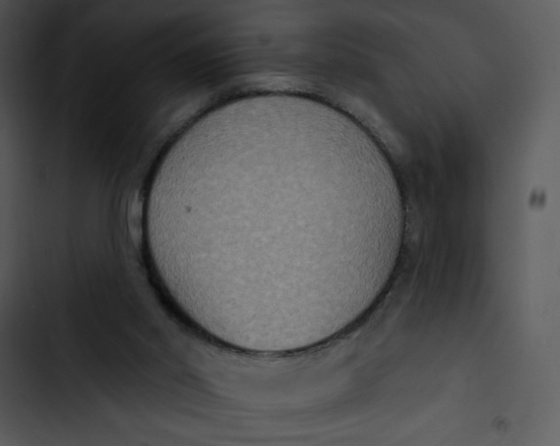 X0000102810014200809081119