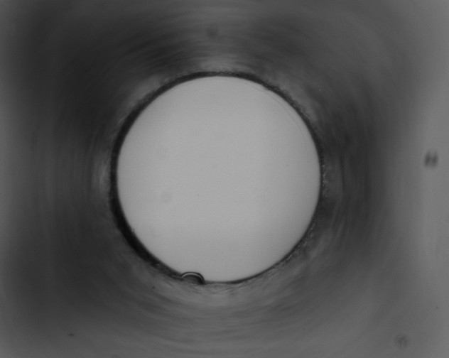 X0000102810015200809081119