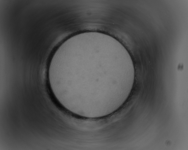 X0000102810016200809081119